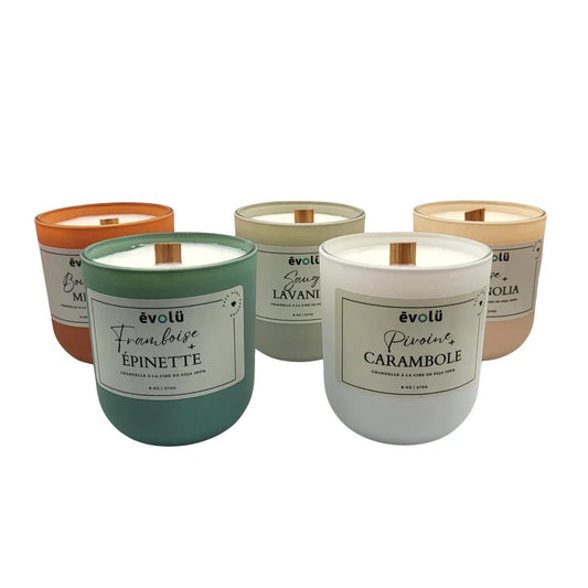 Chandelle de soya - ROSECITRON