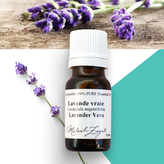 Lavande vraie biologique image 0