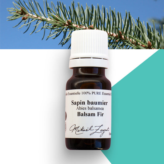Sapin baumier biologique image 0