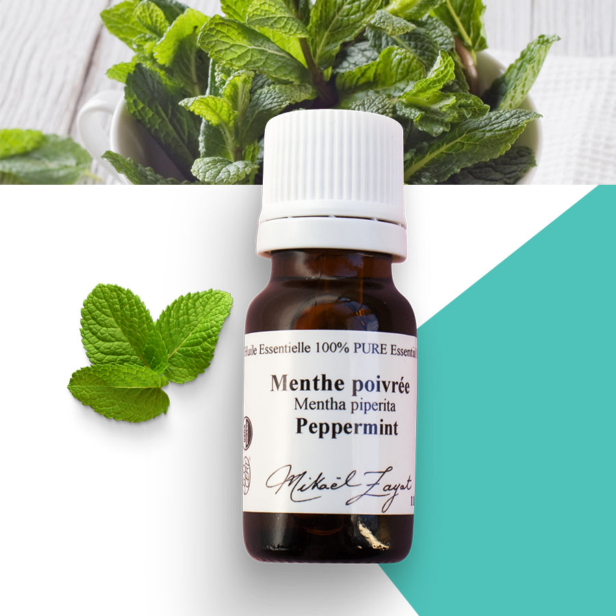 Menthe poivrée biologique image 0