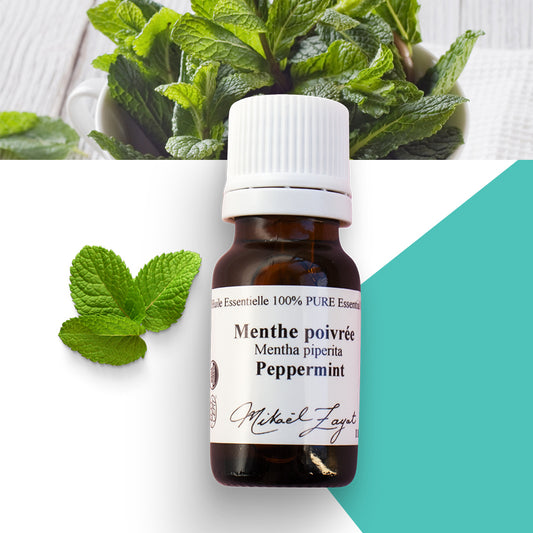 Menthe poivrée biologique image 0