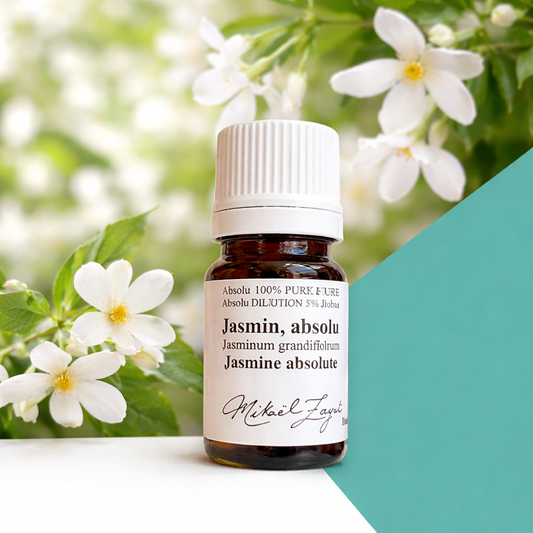 Absolue de JASMIN 5%, 11ml