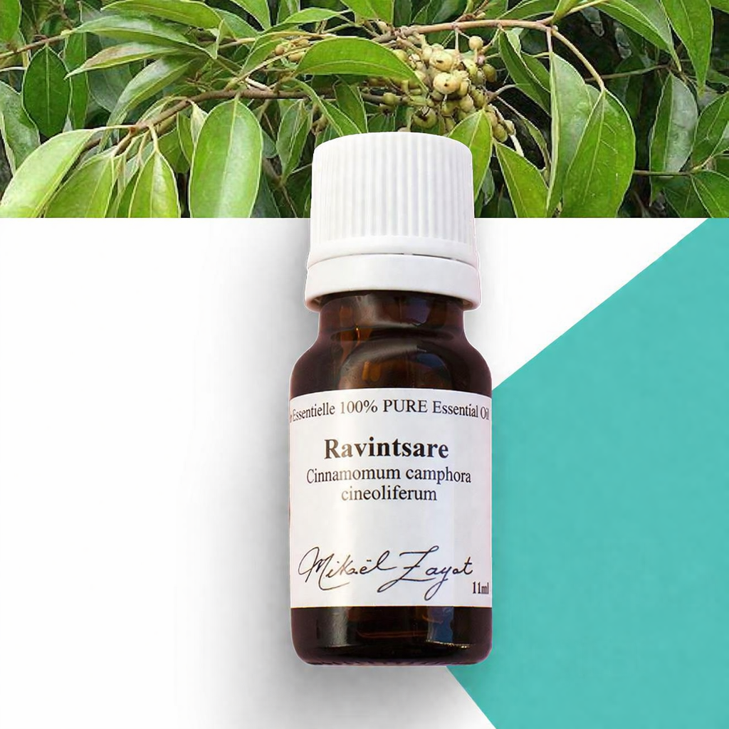 Organic RAVINTSARA essential oil 5ml