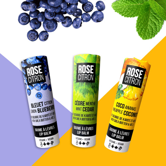 Baumes à lèvres avec vitamine E et squalane - emballage en carton