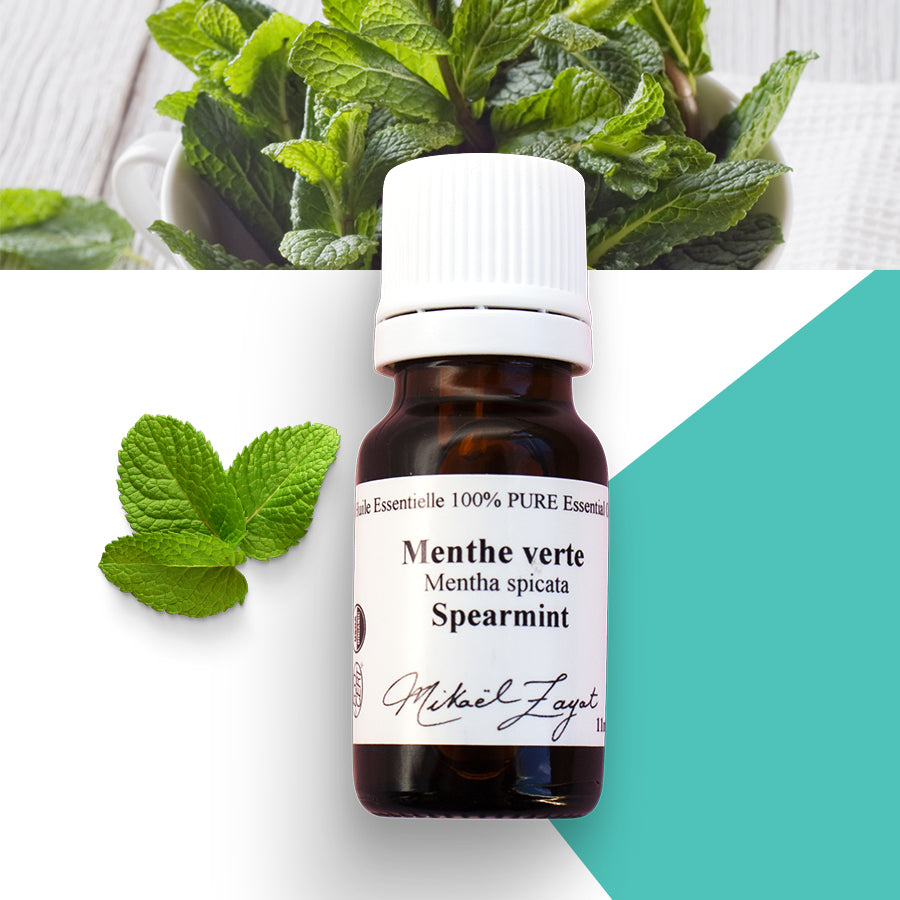 Menthe verte biologique image 0