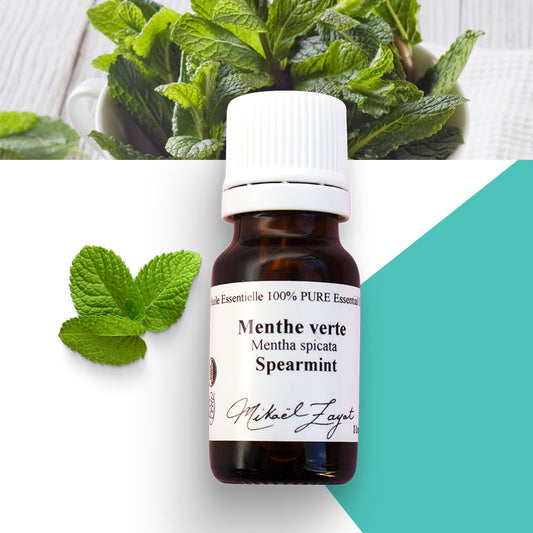 Menthe verte biologique image 0