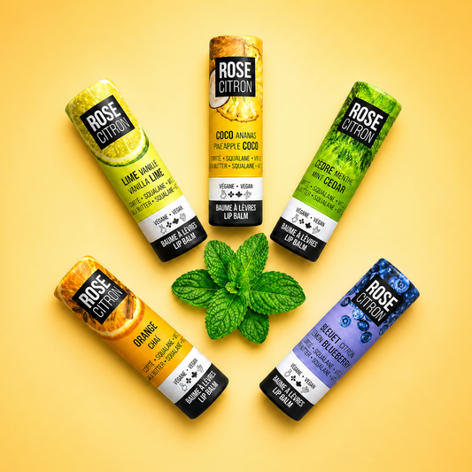 NOUVEAU ! Baumes à lèvres avec vitamine E et squalane - emballage en carton