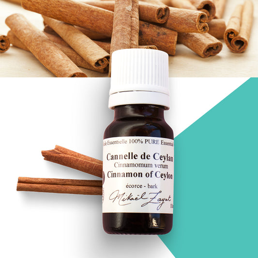 Cannelle de Ceylan biologique image 0