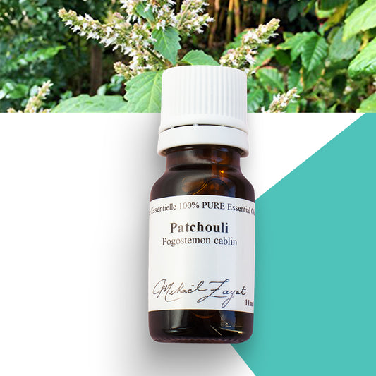 Patchouli biologique image 0