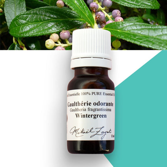 Gaulthérie odorante biologique - ROSECITRON