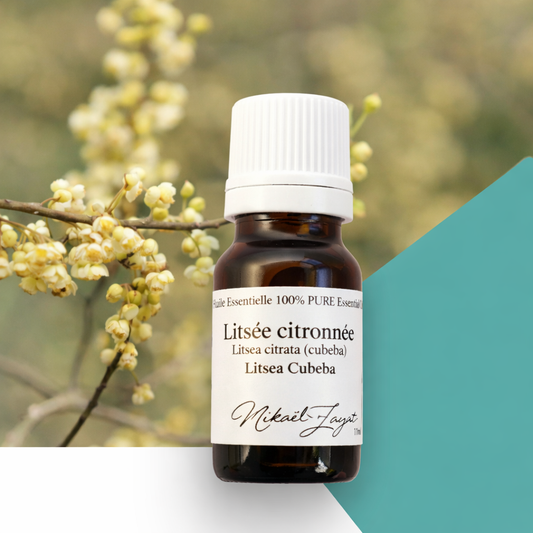 Huile essentielle de LITSÉE CITRONNÉE biologique 11ml