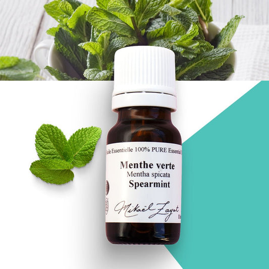Menthe verte biologique - ROSECITRON