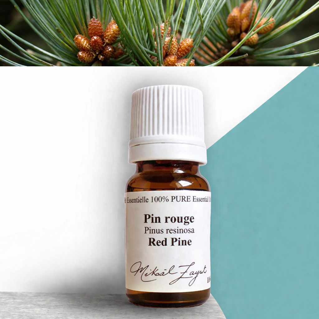 Organic SCOTCH PINE essential oil 11ml