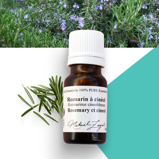 Romarin à cinéol biologique - ROSECITRON